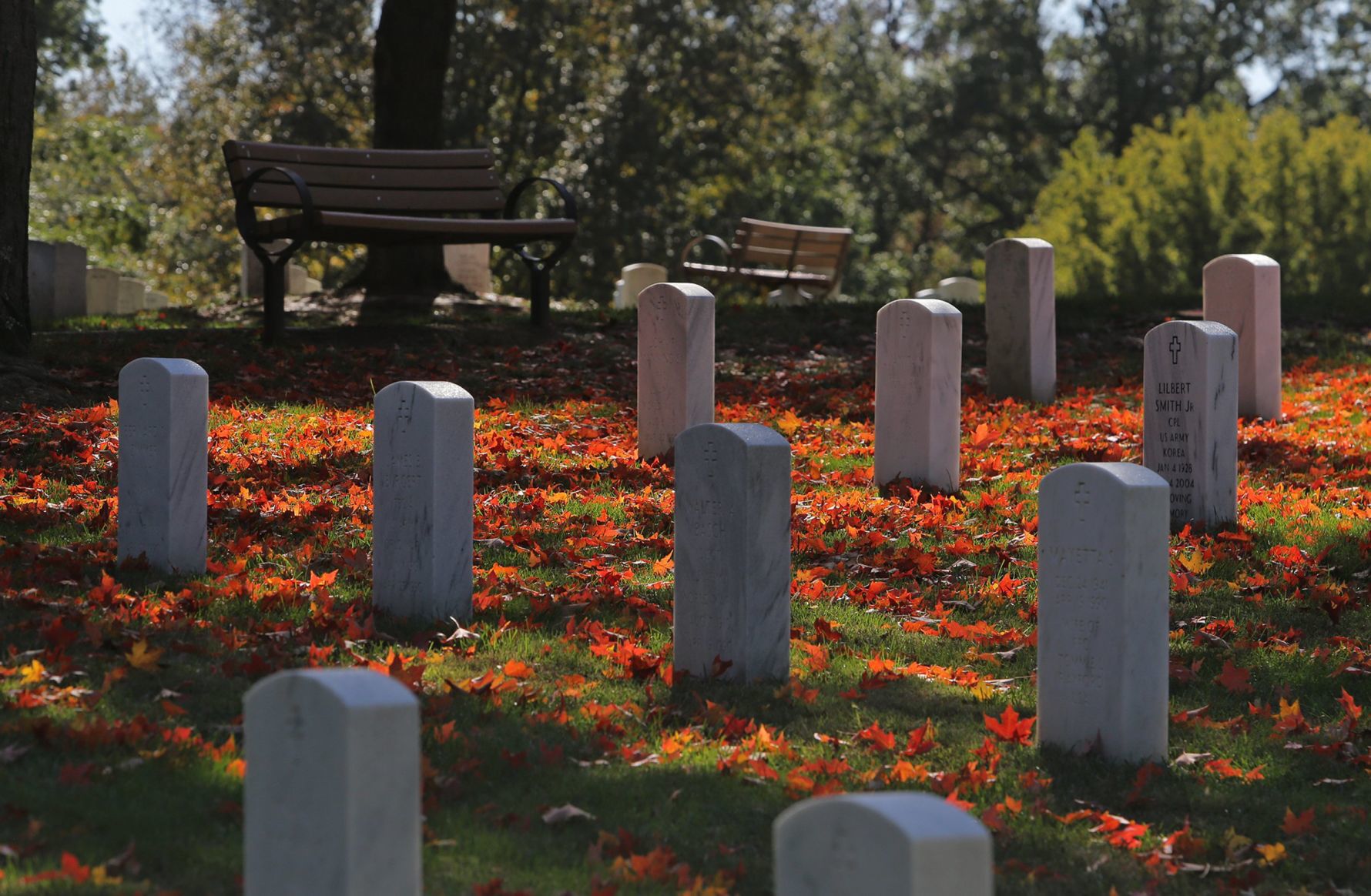 Fall Arrives in the St. Louis region